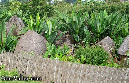 Several Dorze Tribe huts in the distance